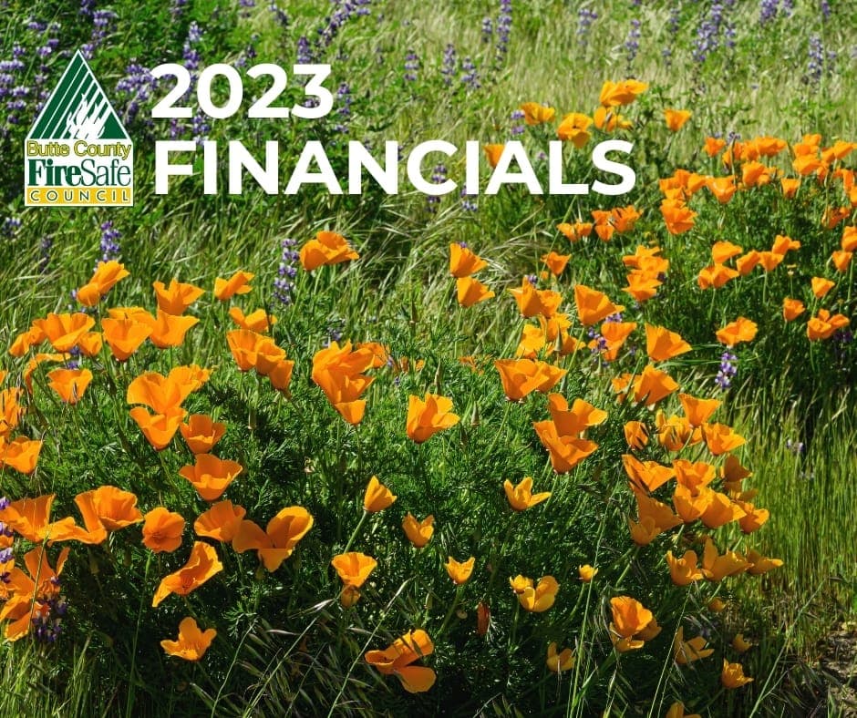 2023 Audited Financial Statements