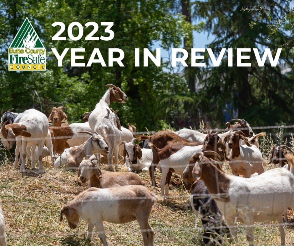 2023 Year in Review