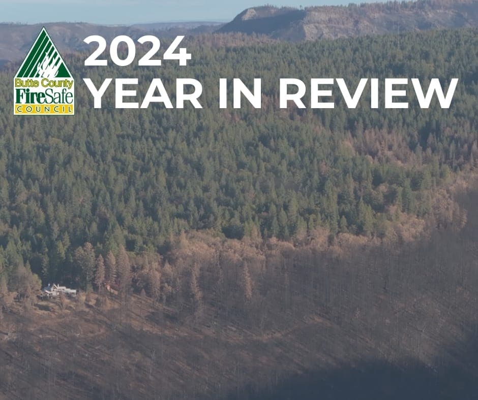 2024 Year in Review