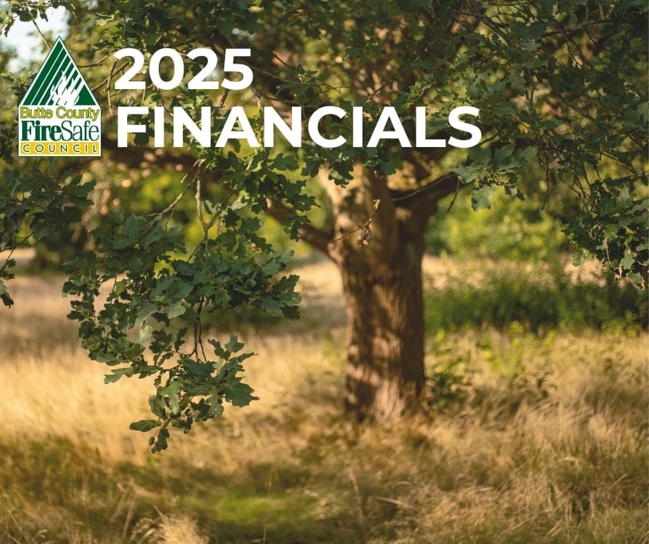 2025 Audited Financial Statements