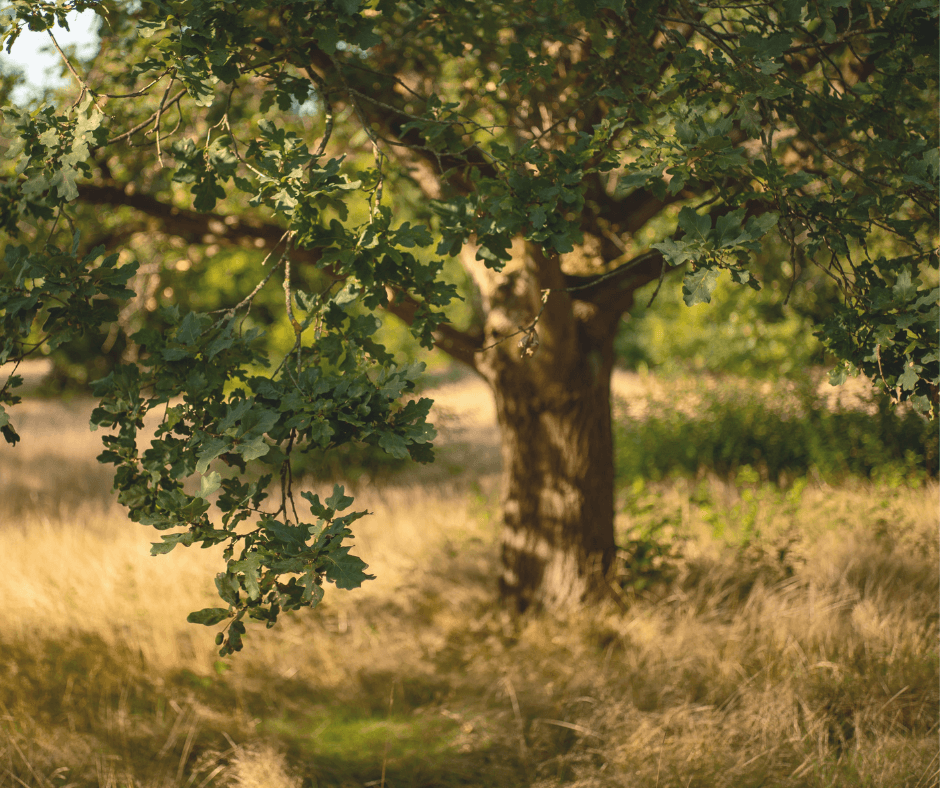 2025 Audited Financial Statements