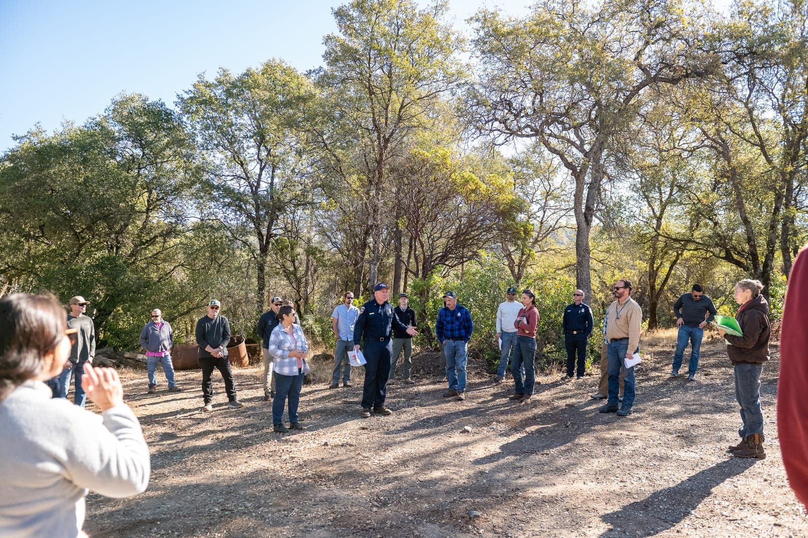 Forest landscape in Butte County