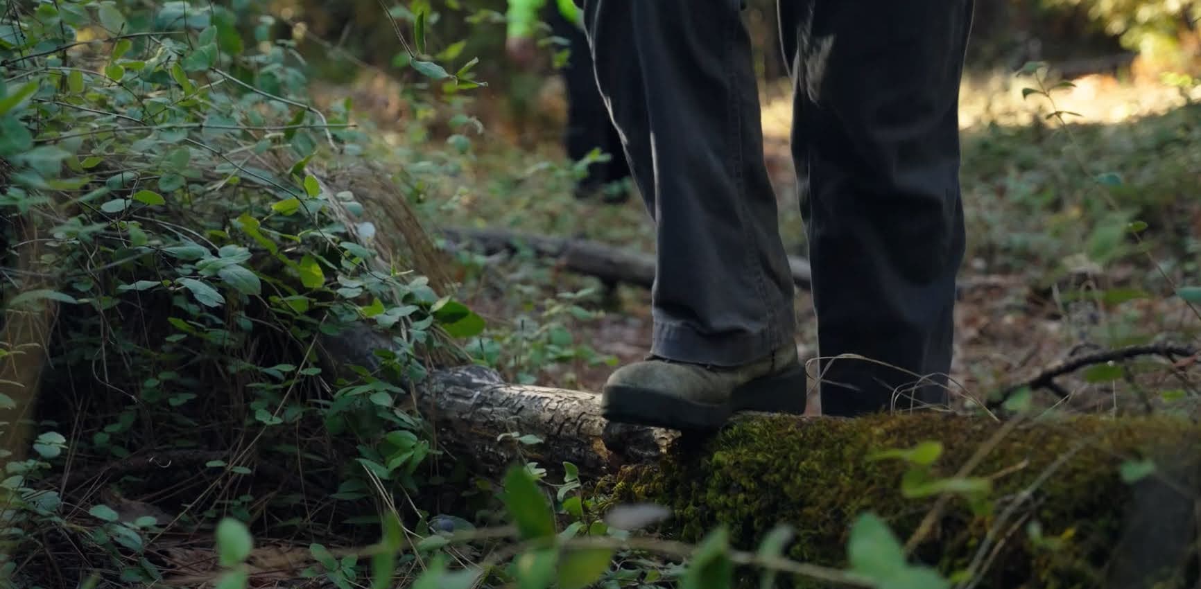 BCFSC team in the field