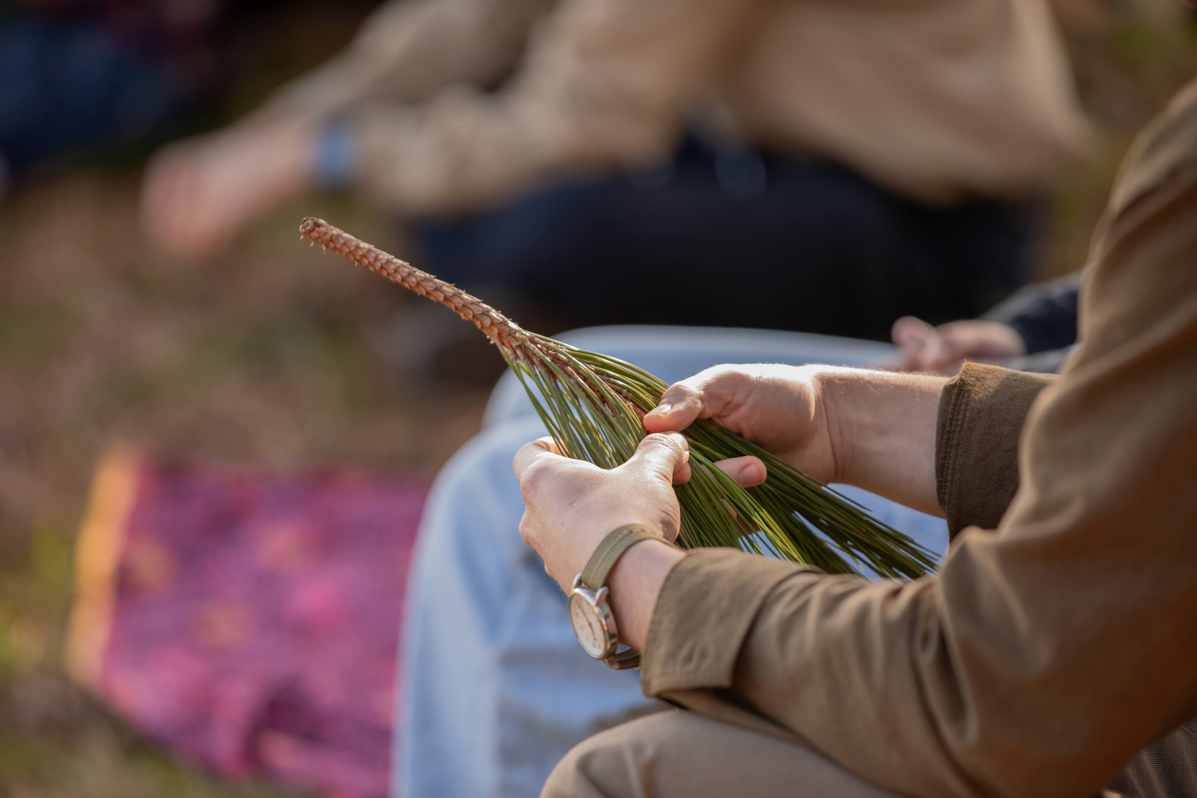 BCFSC community education event