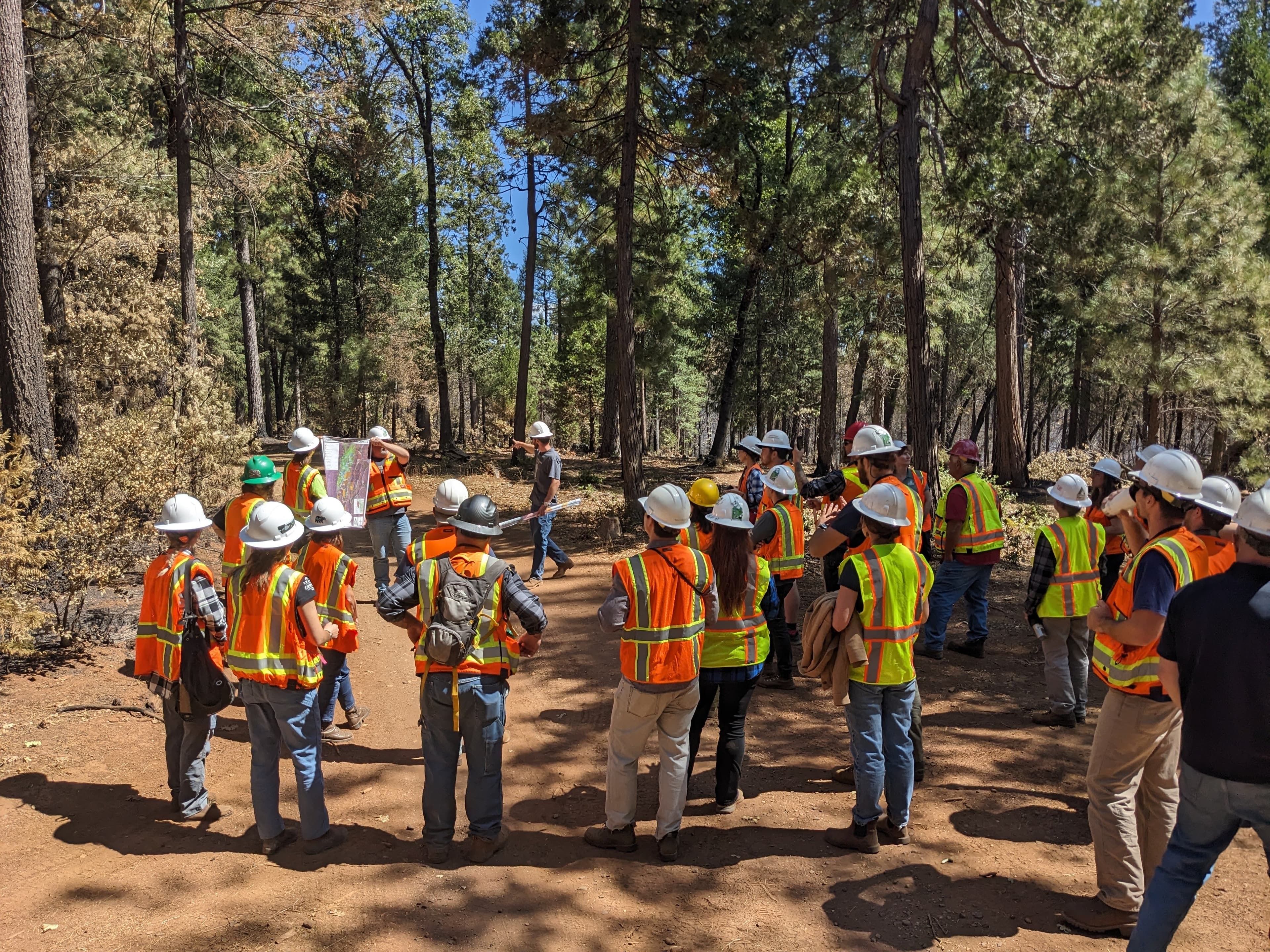 BCFSC team in the field