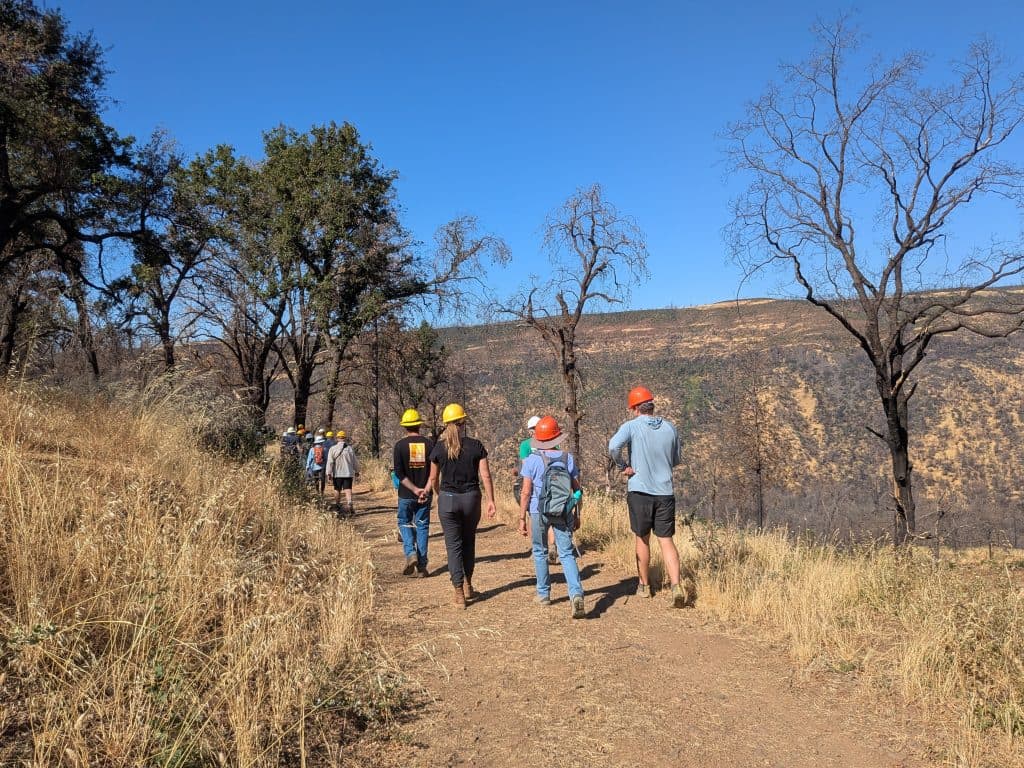 Post-Fire Recovery and Renewal at Big Chico Creek Ecological Reserve