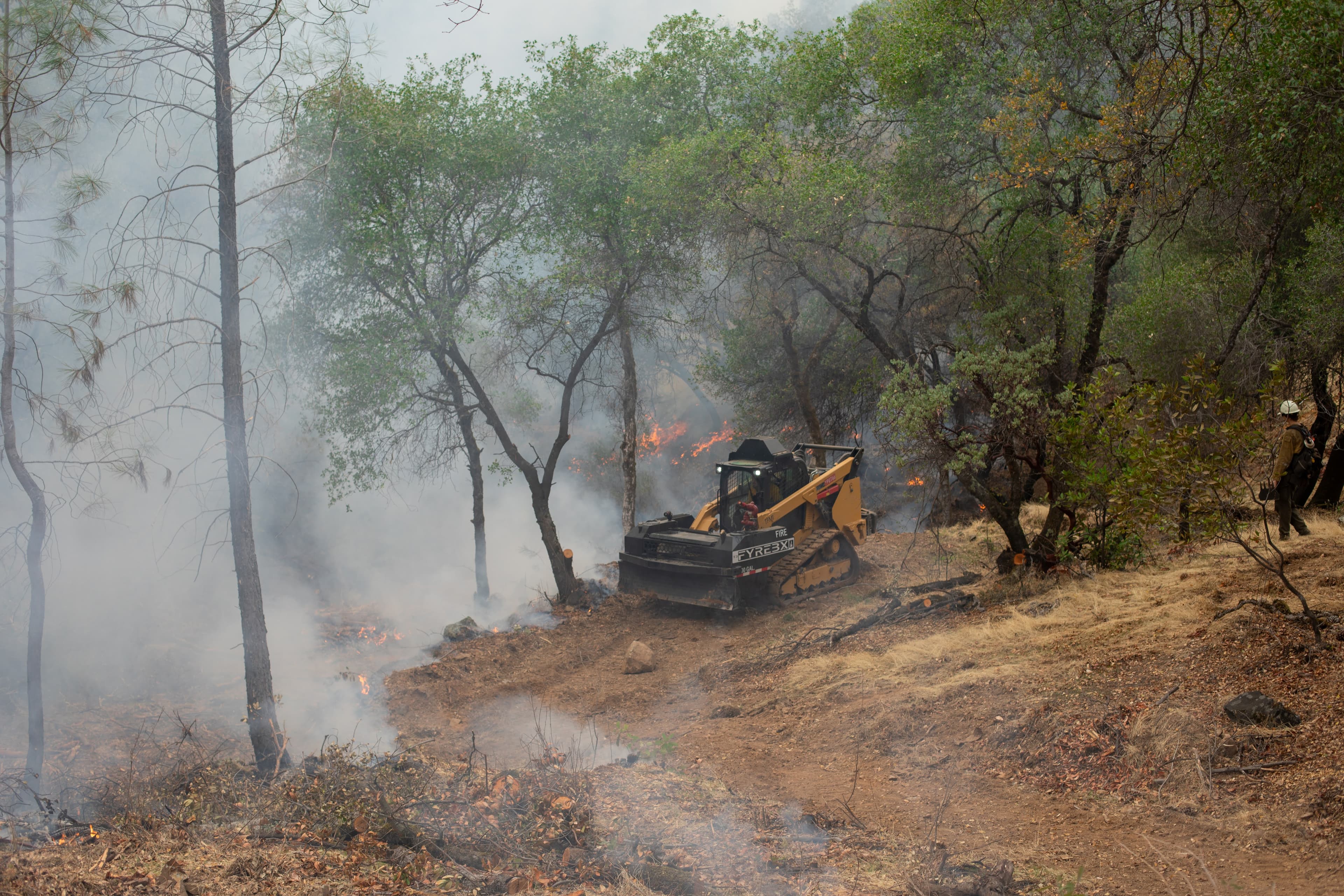 Request for Proposals: Community Protect Prescribed Fire Support Services