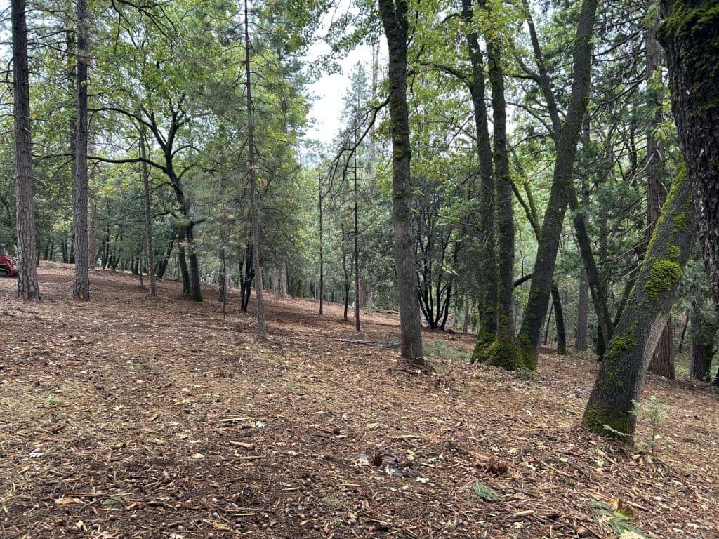 Notice of Fuels Reduction: Forest Ranch - Forest Knolls Mastication Project