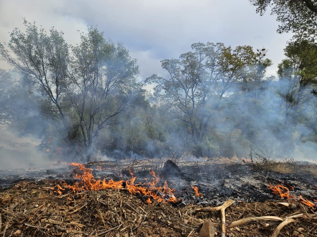 Good Fire at Work: The Bidwell Bridge Broadcast Burn Project