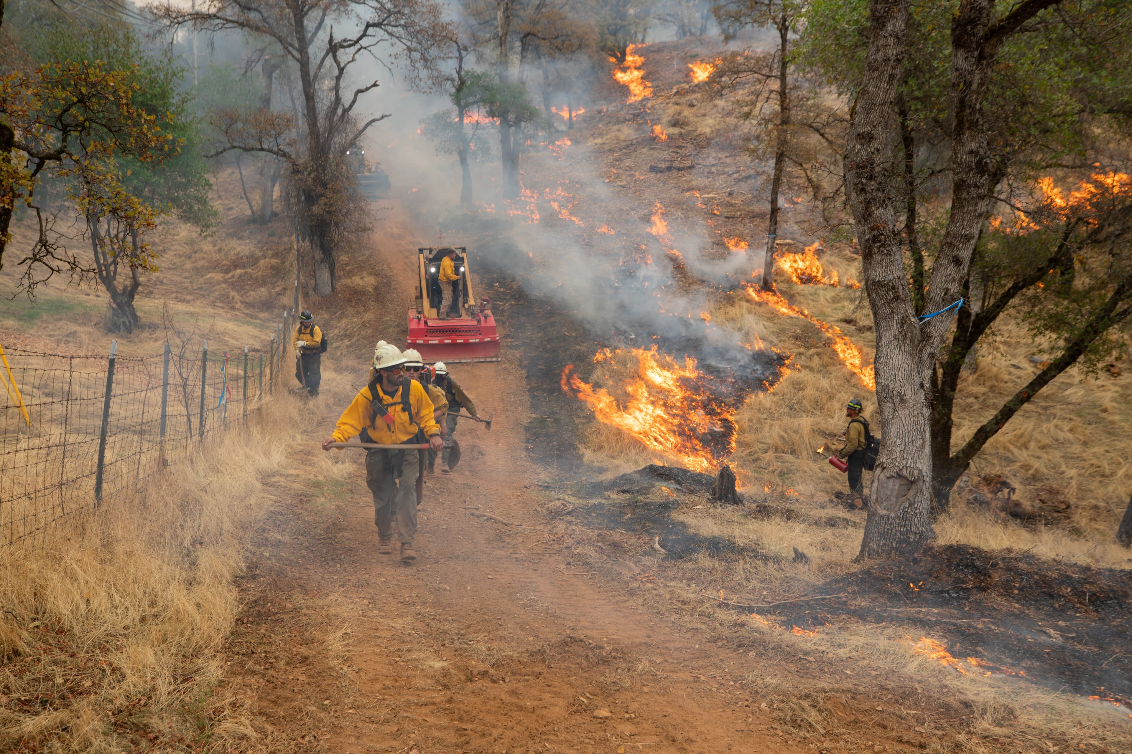 Good Fire at Work: The Bidwell Bridge Broadcast Burn Project