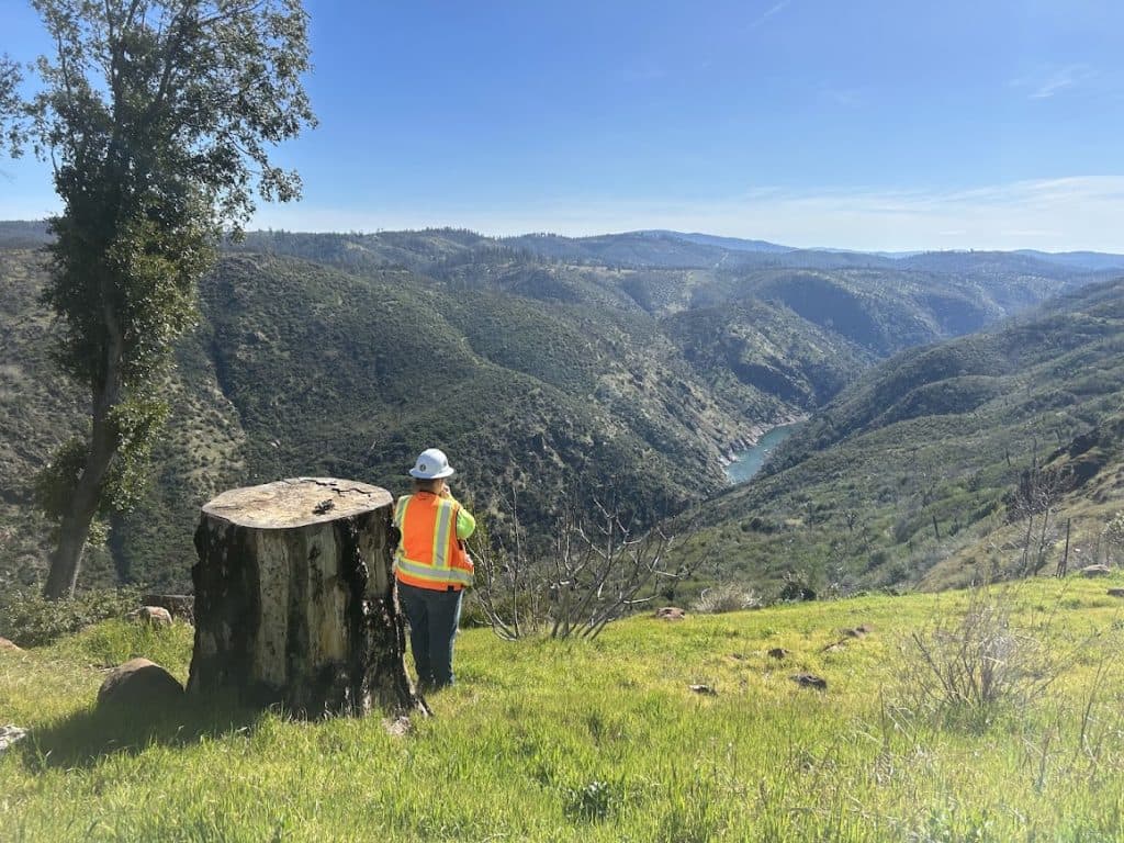 The Town of Paradise Category 4 Tree Removal Program