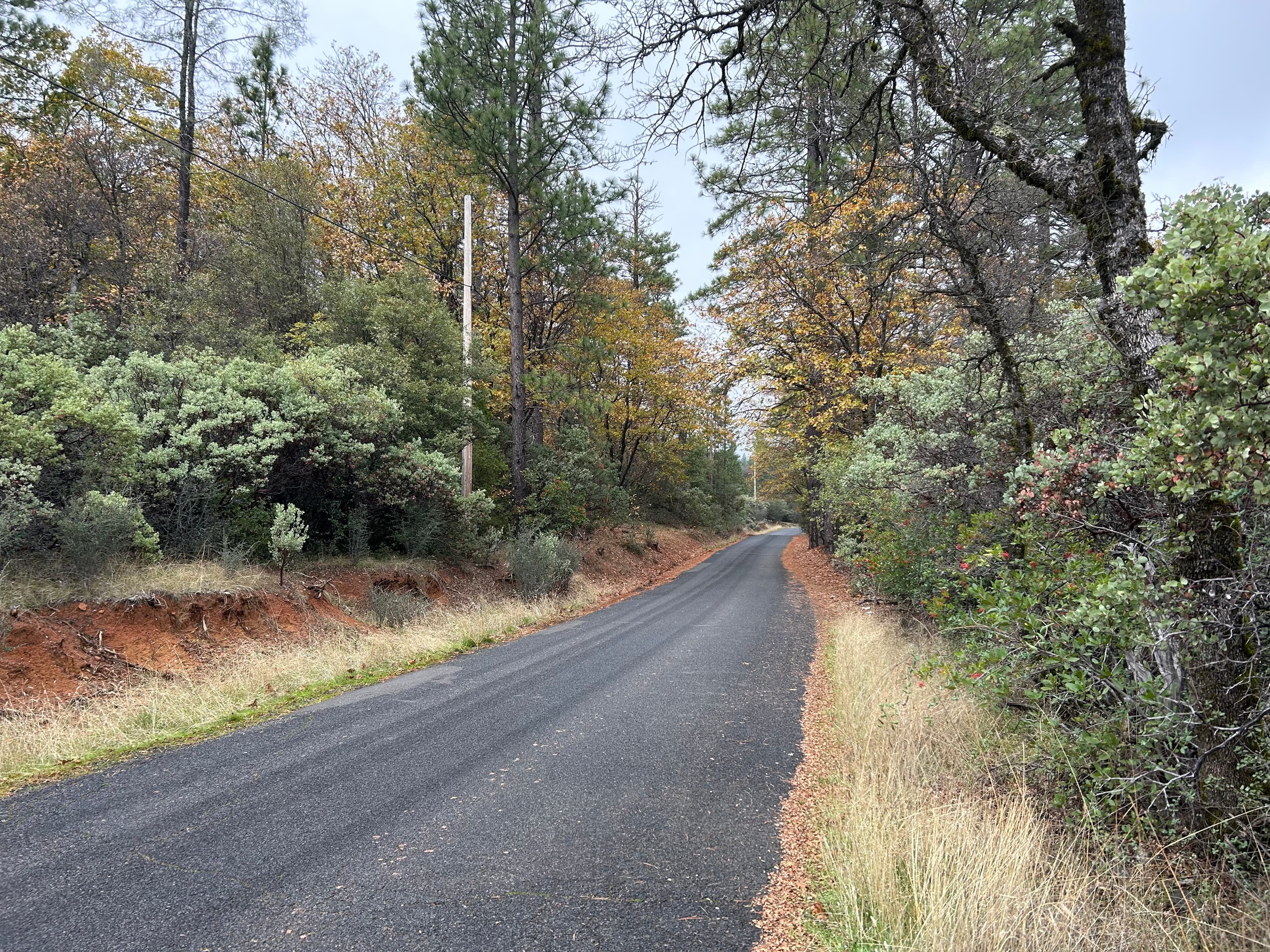 Notice of Fuels Reduction: Robinson Mill Roadside Project