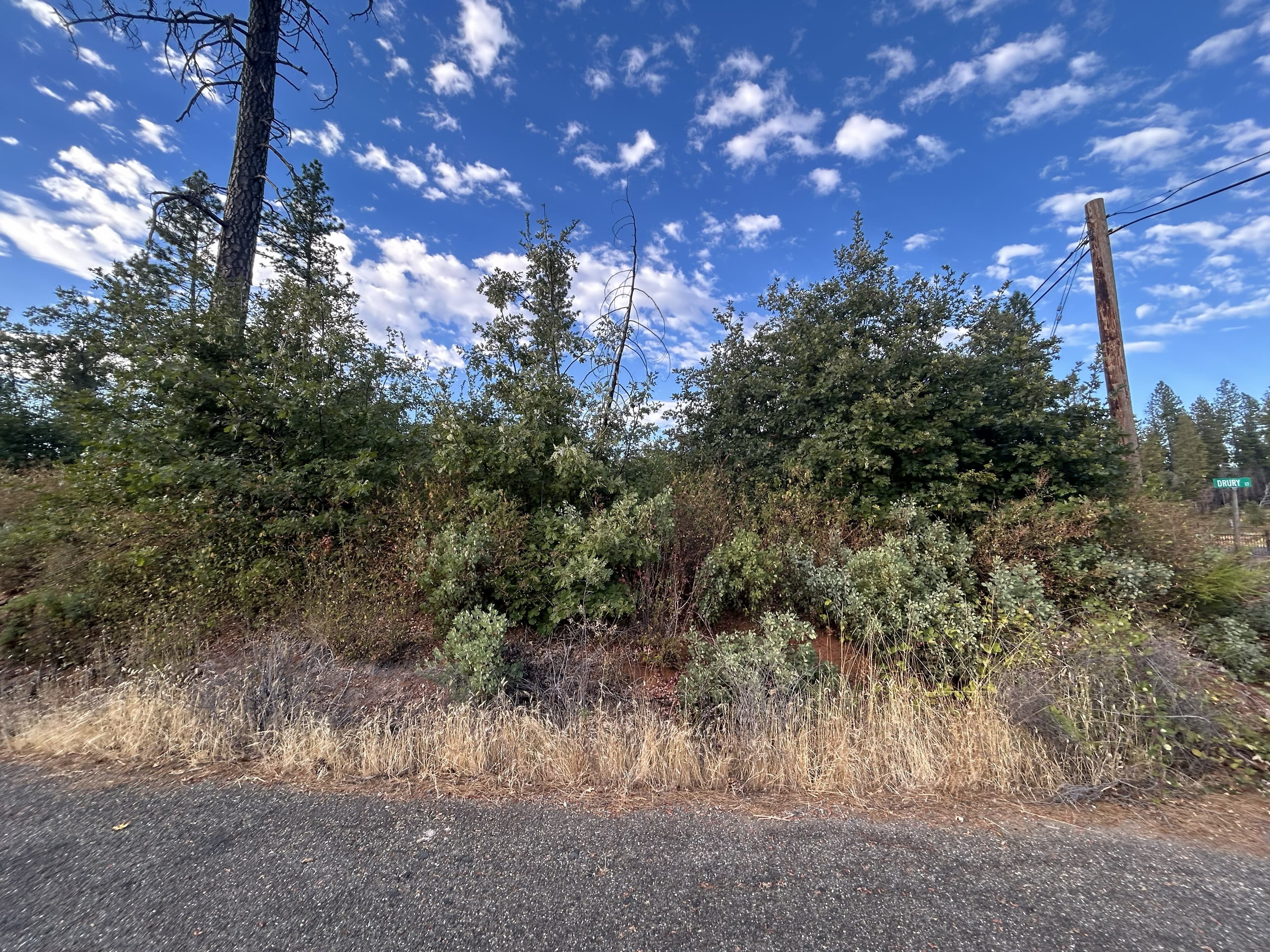A roadside in Butte County overgrown with dry grass, dense shrubs, and young oaks and pines beside a road, with a utility pole and the Drury Ct street sign on the right under a blue sky with scattered clouds.