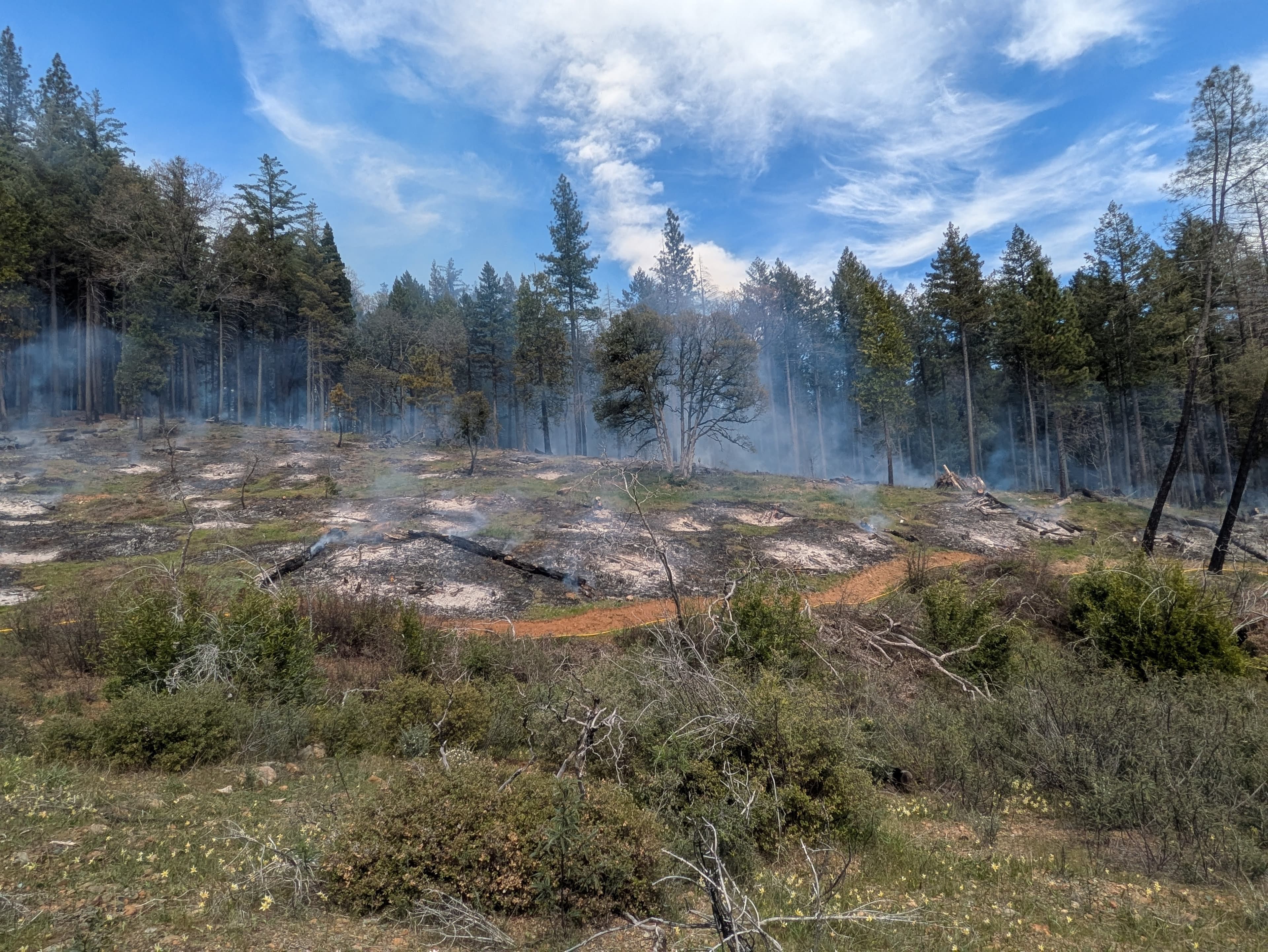 Request for Proposals: South Lucretia Prescribed Fire Preparation