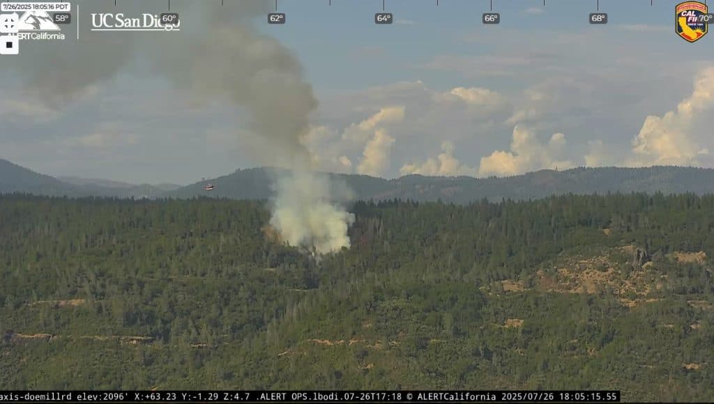 Strategic Resilience in Action: The Center Fire