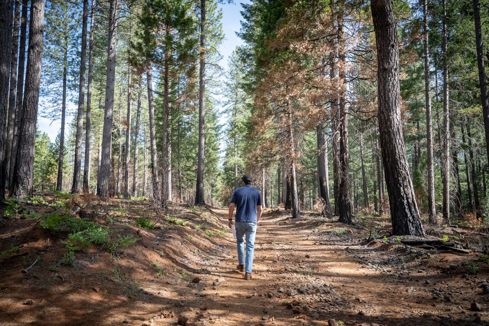 When the Flicker Returned: Healing Through Fire in Magalia