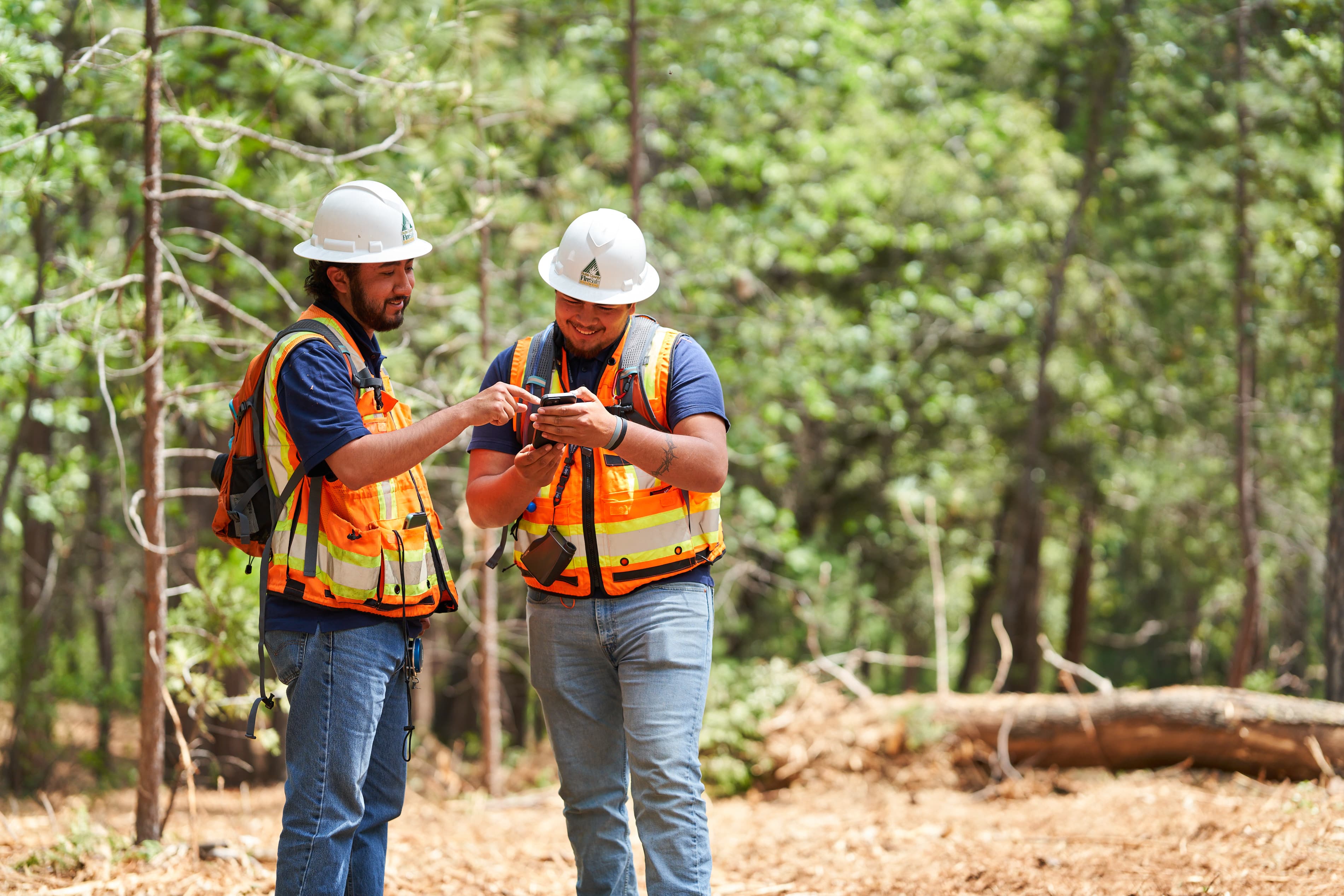 BCFSC team in the field