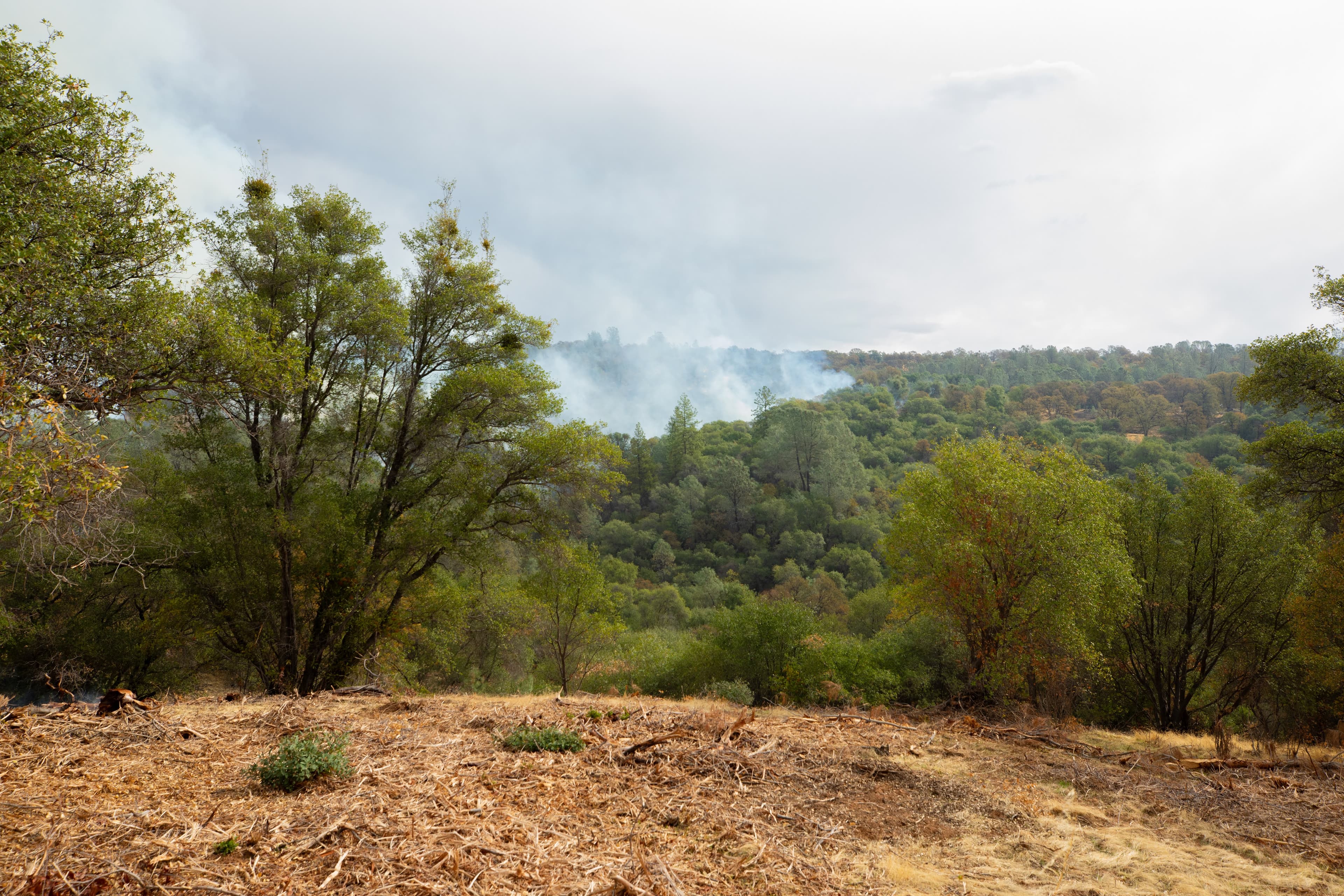 Smoke rising over oak woodlands in Butte County