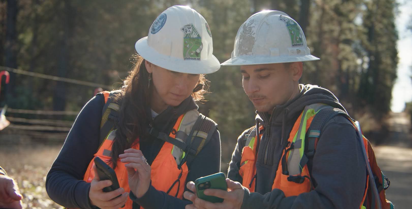 Forest health field work in Butte County