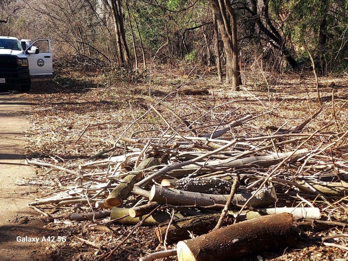 Brush and limb piles prepared along a driveway for chipping