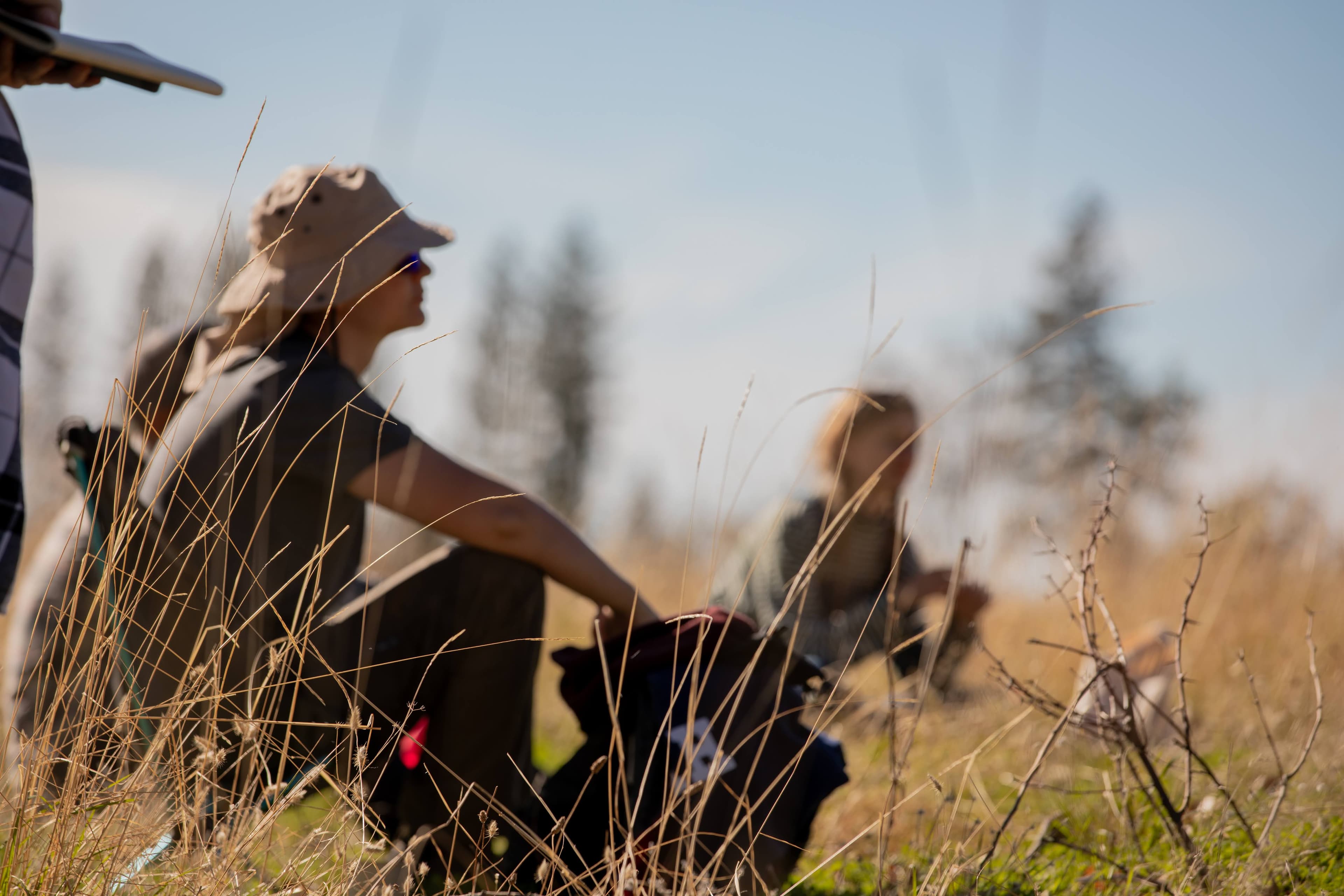 High School Level Programs (in development)