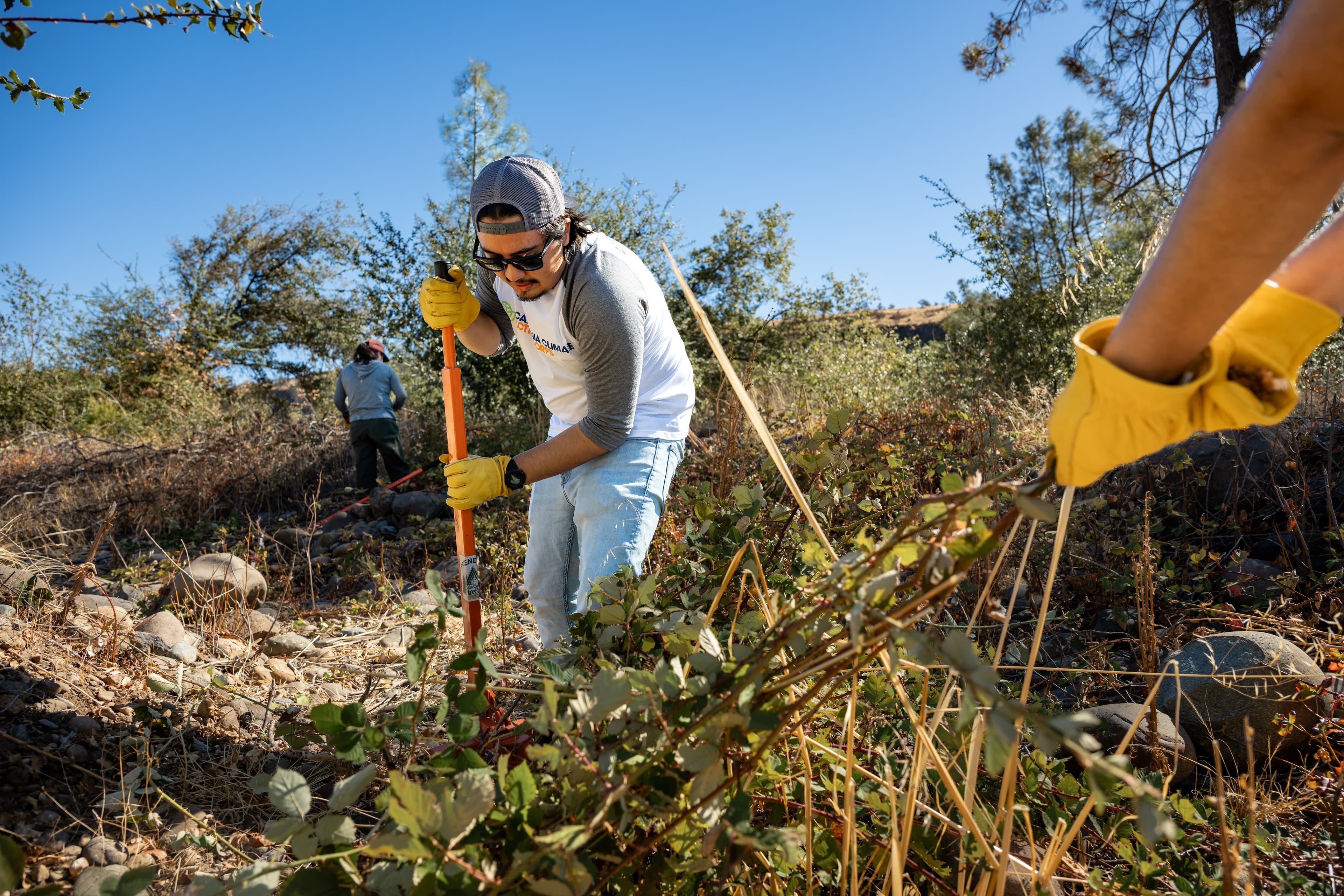 BCFSC volunteers in the field