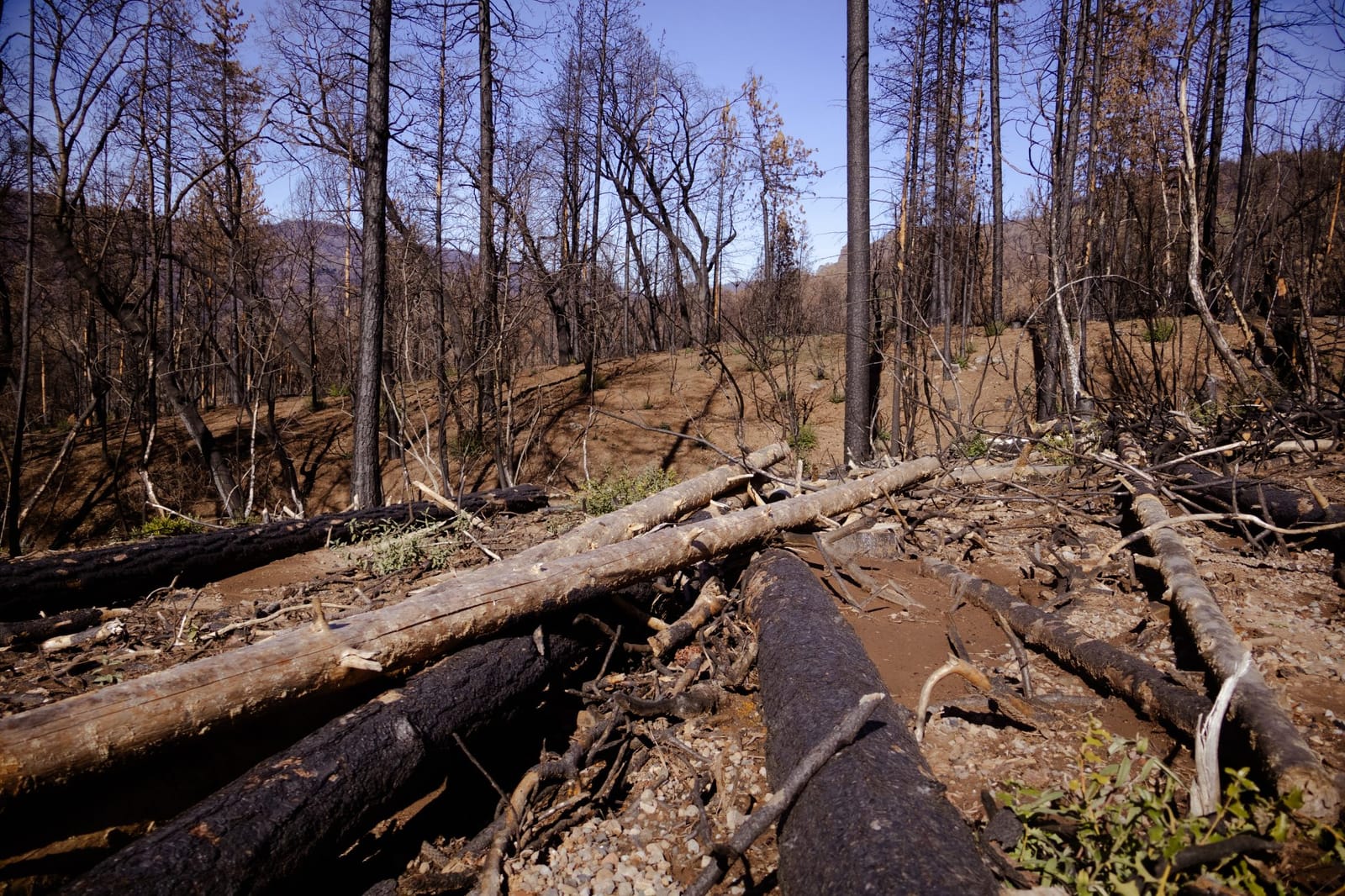 Erosion control measures in action