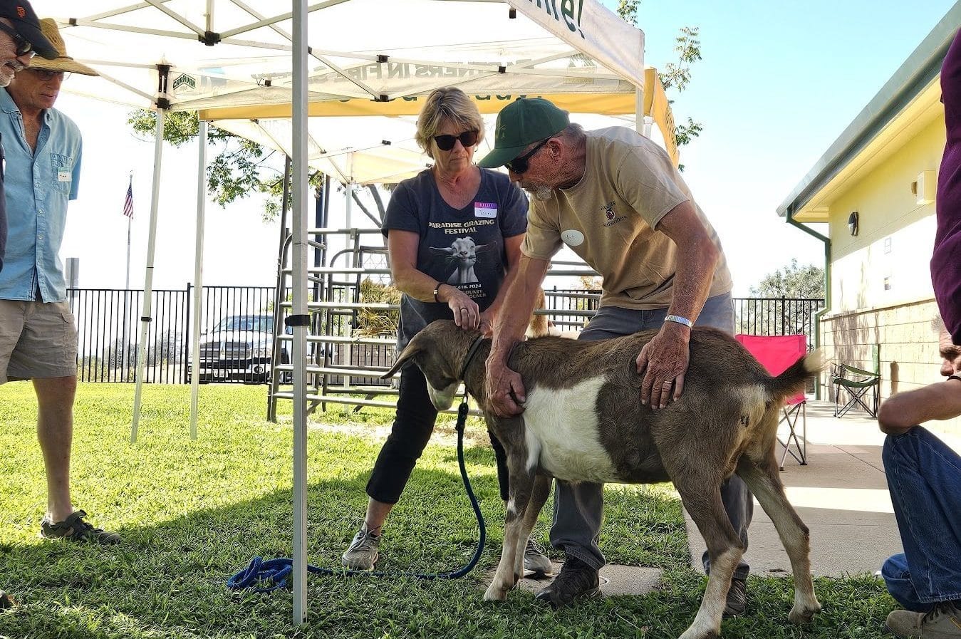 Workshop participants learn about grazing benefits