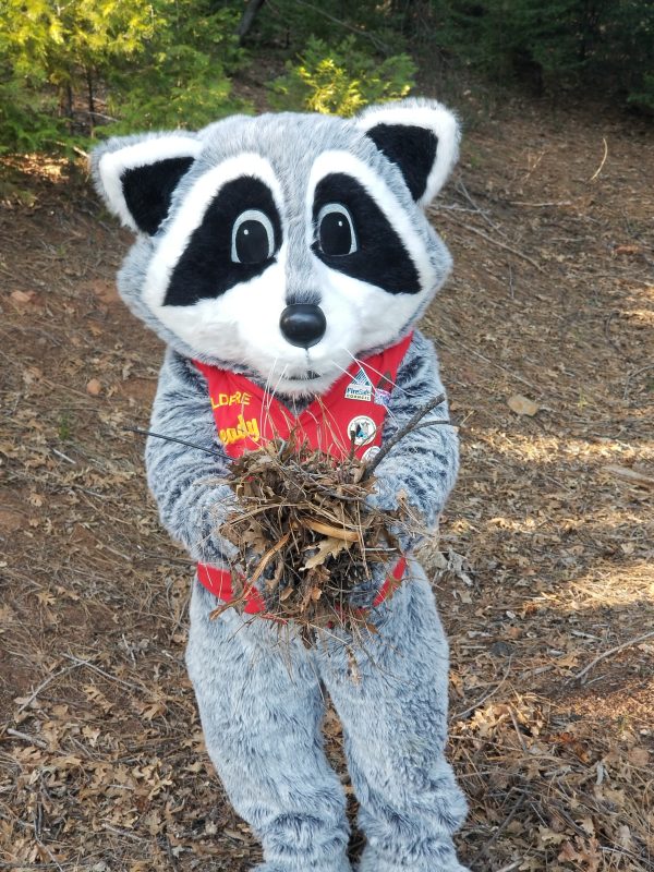 Summer 2023 WUI Green Waste Schedule