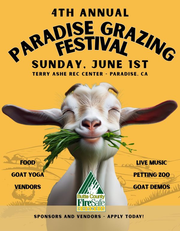 Grazing Festival Flyer Design 2024 - Draft 1 (1) Grazing Festival Flyer Design 2024 - Draft 1 (1)