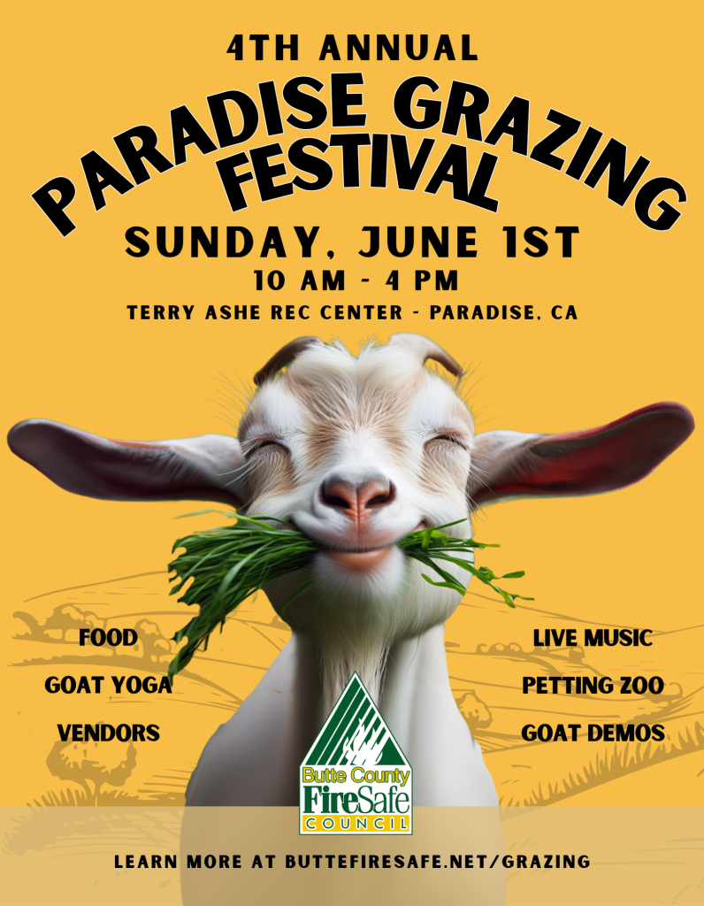 Grazing Festival Flyer 2025 Grazing Festival Flyer 2025